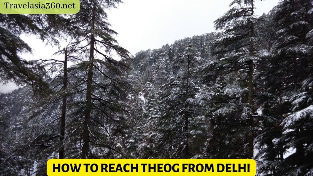 how to reach Theog from Delhi